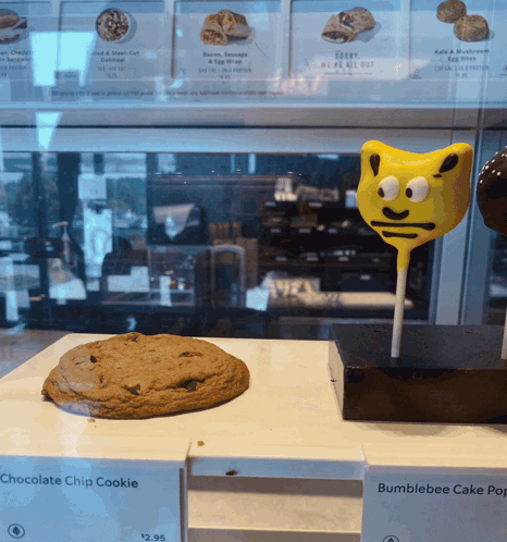 Chocolate Chip Cookie and Bumblebee Cake Pop