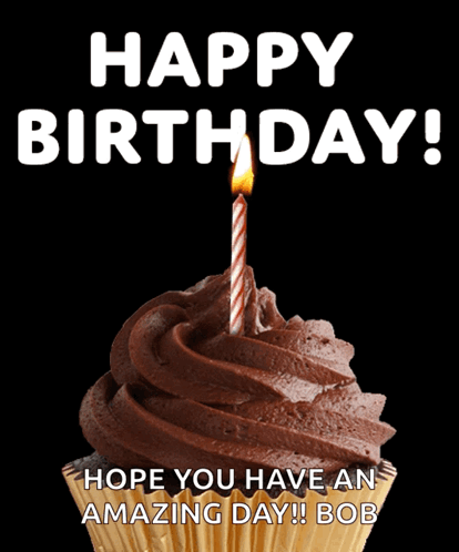 Chocolate Cupcake With Lit Candle Saying Happy Birthday Hope You Have an Amazing Day Bob