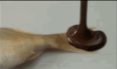 Chocolate Is Being Poured On A Piece Of Chicken On A Table . GIF