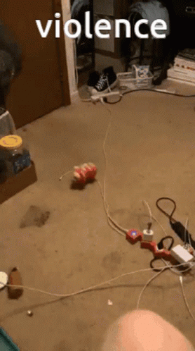 Choose Violence Flying Toy GIF