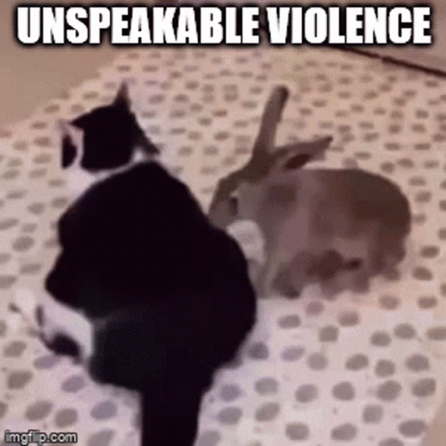 Choose Violence Rabbit Cat Punch GIF