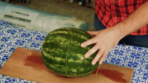Chop On Watermelon GIF
