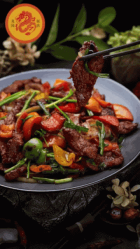 Chopsticks Holding Meat Over Plate of Food