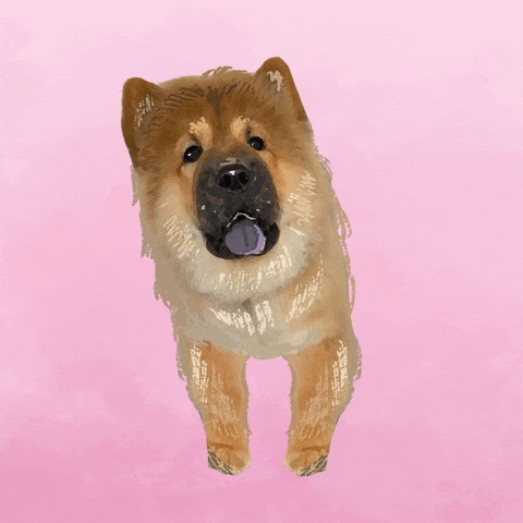 Chow Dog Swaying Head GIF