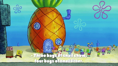 Chow Spongebob Squarepants GIF