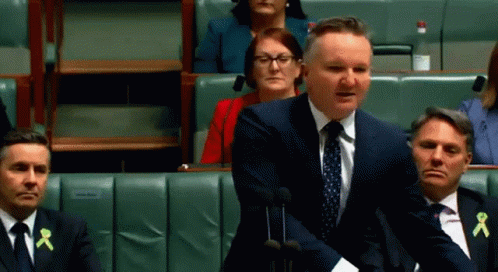 Chris Bowen Hold A Solar Panels GIF