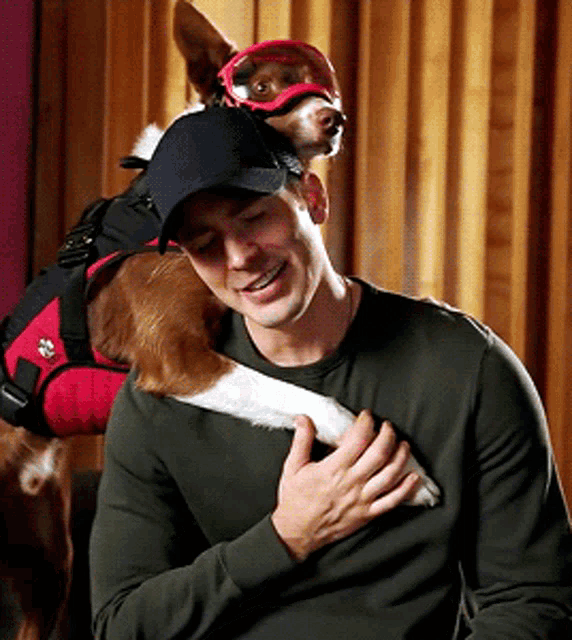 Chris Evans With Dog GIF
