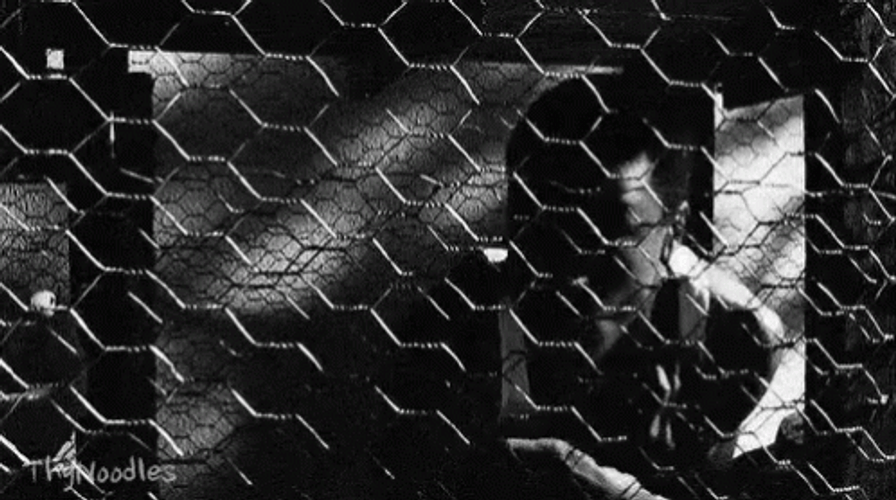 Chris Tucker Smokey Friday In The Fence GIF