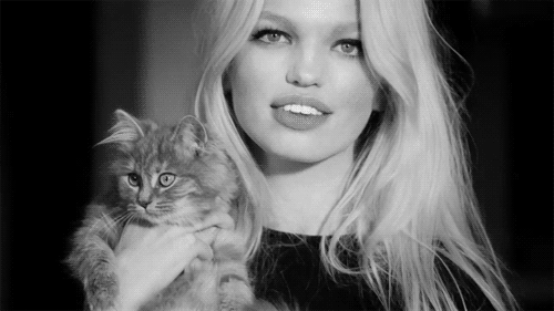 Christian Dior Daphne Groeneveld GIF