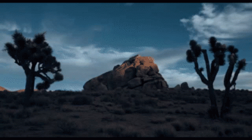 Christian Dior Sauvage Ad Campaign GIF