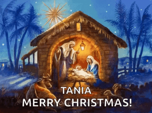 Christian Merry Christmas Stable Night Nativity GIF