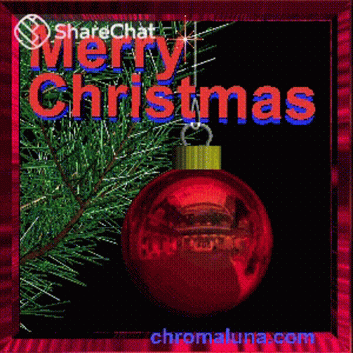 Christmas Card with Red Ornament and Pine