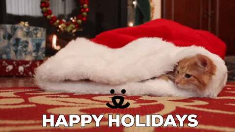Christmas Cat Hiding In Christmas Hat GIF