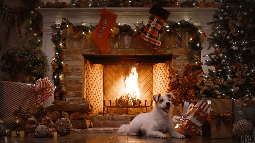 Christmas Dog Living Room Fireplace GIF