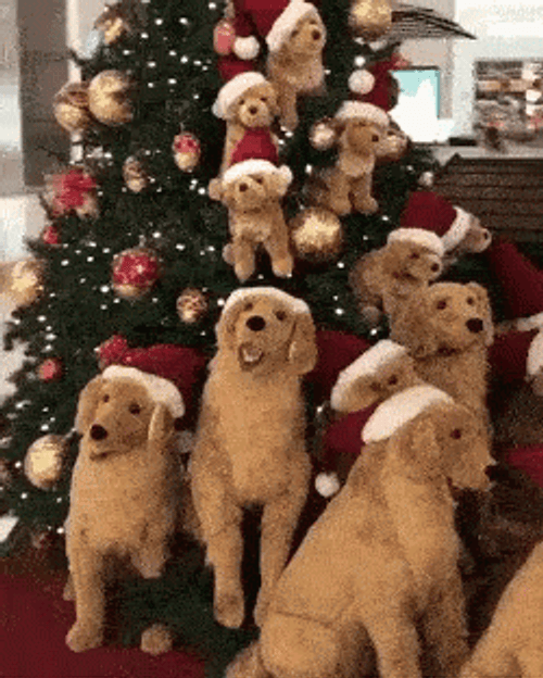 Christmas Dogs Golden Retriever Santa GIF