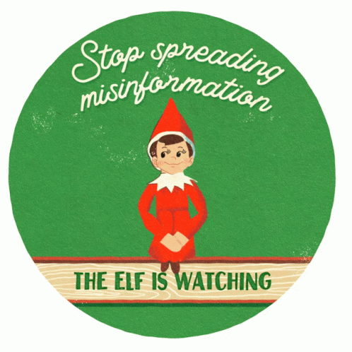 Christmas Elf Is Watching Stop Misinformation GIF