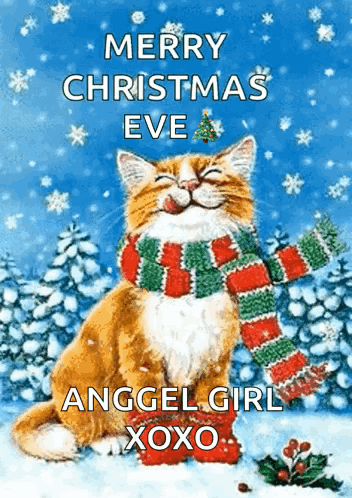 Christmas Eve Cat Getting Snow Wearing A Scarf GIF