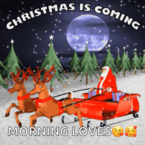 Christmas Is Coming Morning Loves With Santa in Sleigh Drawn by Reindeer