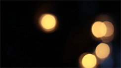 Christmas Light Bokeh Blur GIF