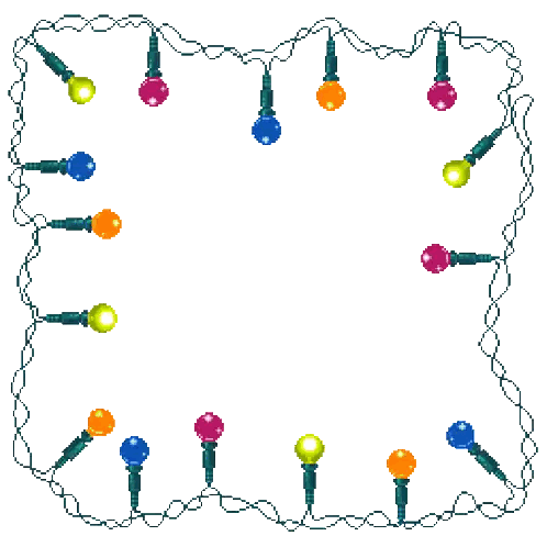 Christmas Light Border on White Background