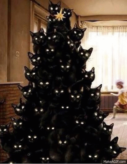 Christmas Lights Black Cat Eyes GIF