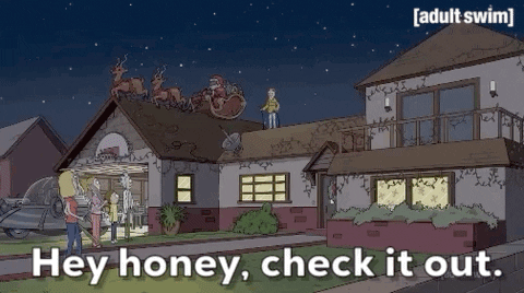 Christmas Lights Honey Rick And Morty GIF