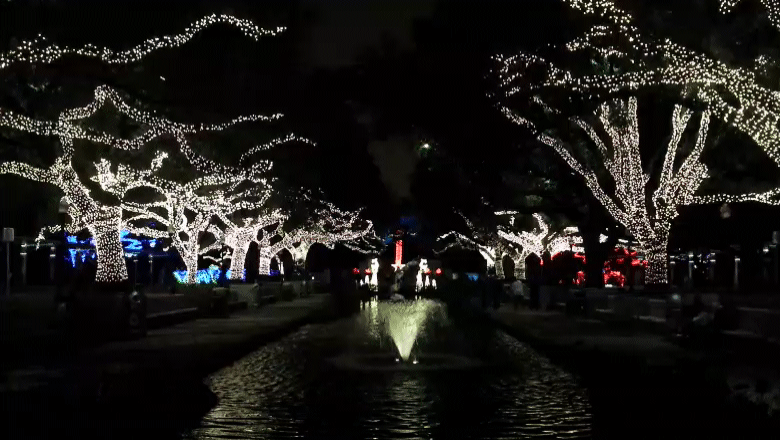 Christmas Lights Houston Zoo GIF