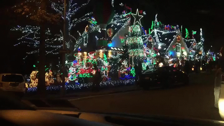 Christmas Lights Night Park GIF