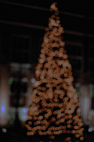 Christmas Lights Tree Blur GIF