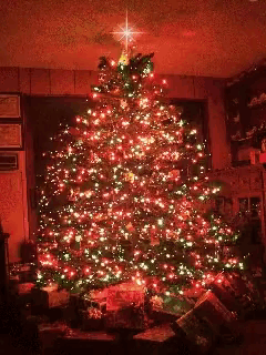 Christmas Morning Christmas Tree Gif GIF