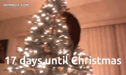 Christmas Tree 17 Days Until Christmas