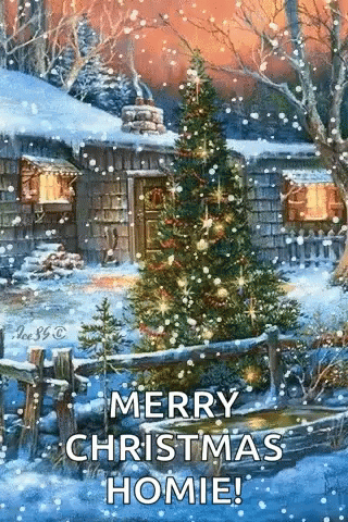 Christmas Tree by Snow Cabin