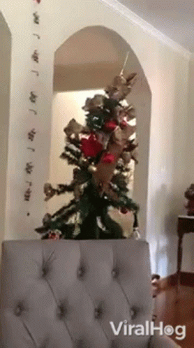 Christmas Tree Climbed By A Cat GIF