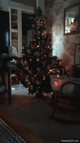 Christmas Tree in Living Room
