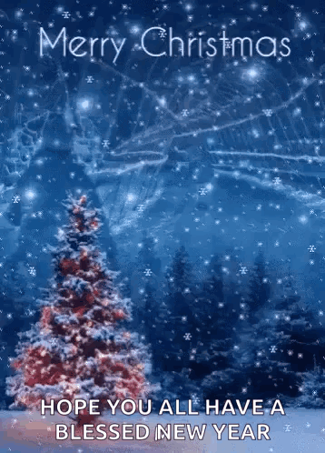 Christmas Tree in Snow Card