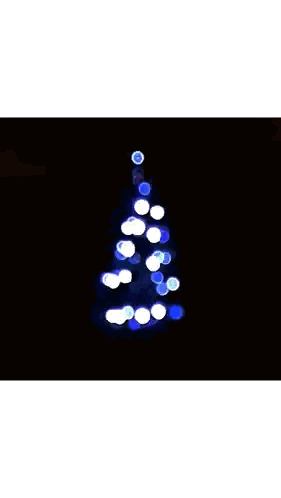 Christmas Tree Max Stefany