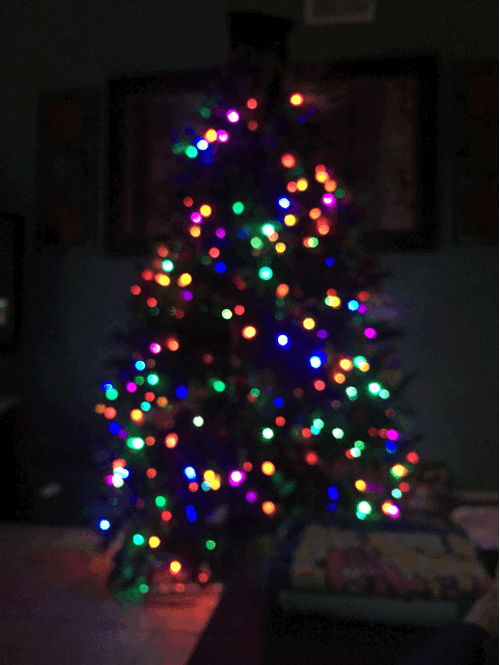 Christmas Tree Multicolor Lights Blur GIF 