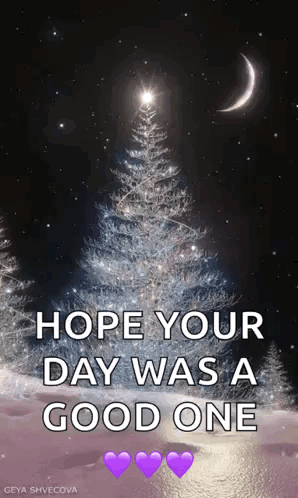 Christmas Tree Saying Hope Your Day Was a Good One