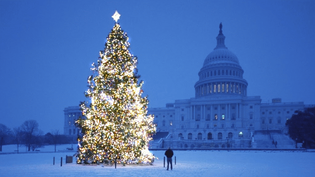 Christmas Tree Snow Us Capitol GIF