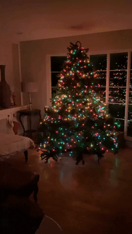 Christmas Tree Sparkle Home Holiday GIF