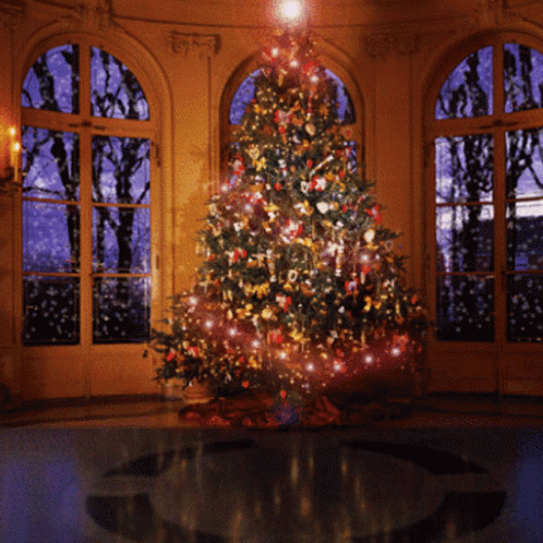 Christmas Tree With Lights GIF