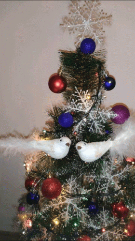Christmas Tree With Red Purple Blue Ornaments and Two White Birds