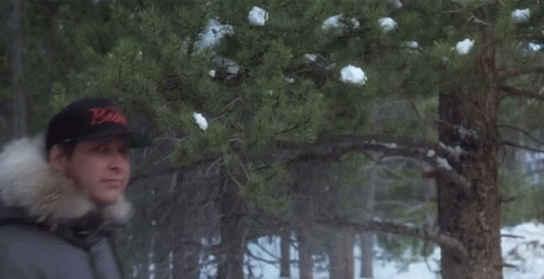 Christmas Vacation There It Is GIF