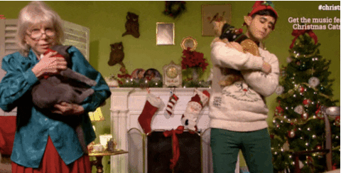 Christmas Yuletide Sleeping Cat GIF