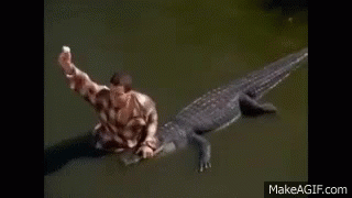 Chubbs Happy Gilmore Crocodile GIF