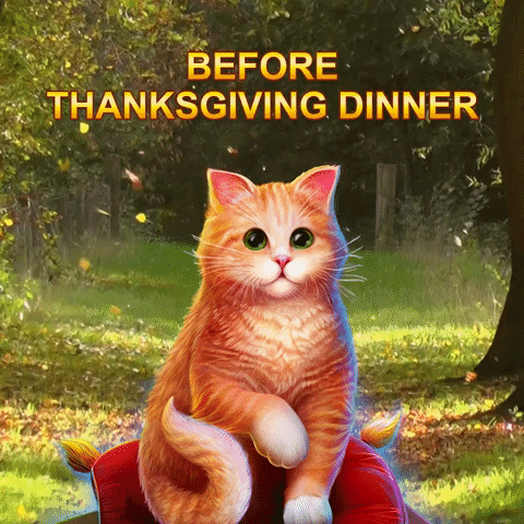 Chubby Cat Transformation Thanksgiving Meme GIF