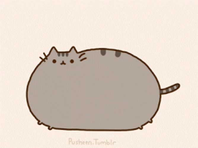 Chubby Pusheen Cat Bouncing GIF