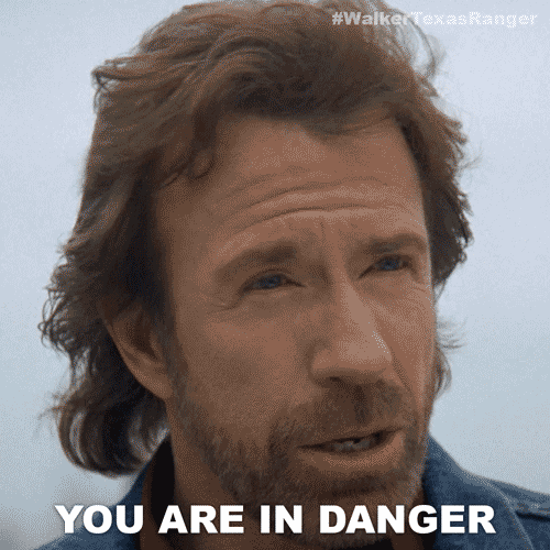Chuck Norris Im In Danger GIF