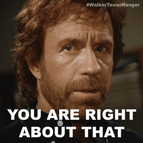 Chuck Norris You Are Right About That GIF