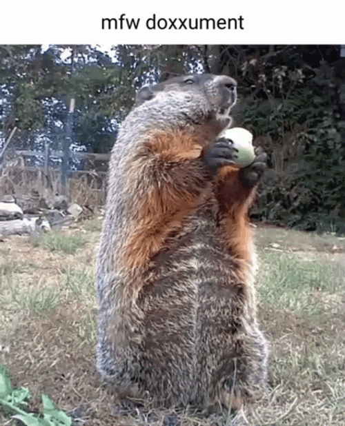 Chunk The Groundhog  GIF